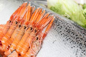 Aparthotel Costa Encantada