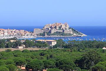 Calvi