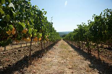 Chianti Village Morrocco