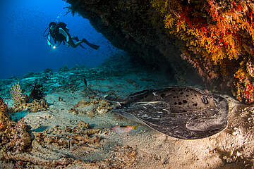 Dusit Thani Maldives