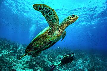 Dusit Thani Maldives
