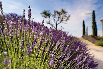 Holiday Village Pont Royal en Provence