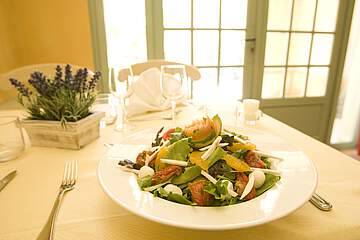 Holiday Village Pont Royal en Provence