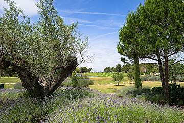 Holiday Village Pont Royal en Provence