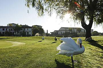Holiday Village Pont Royal en Provence