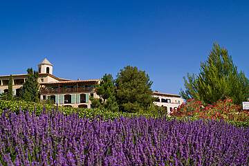 Holiday Village Pont Royal en Provence