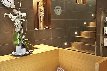 Hotel Alegria Plaza Paris - spa