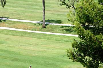 Hotel Barcelo Marbella