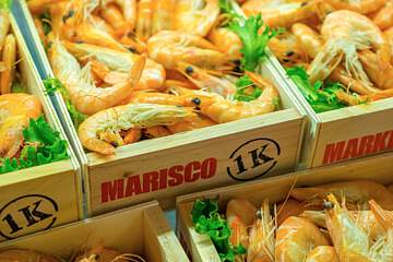 Hotel Golden Bahia de Tossa & Spa