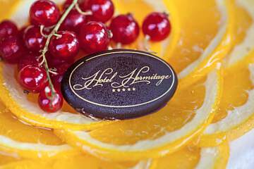 Hotel Hermitage