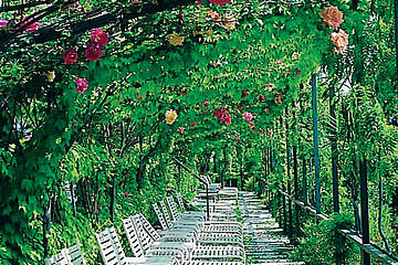 Hotel Leonardo da Vinci - zahrada