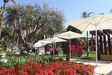 Hotel Pure Salt Garonda