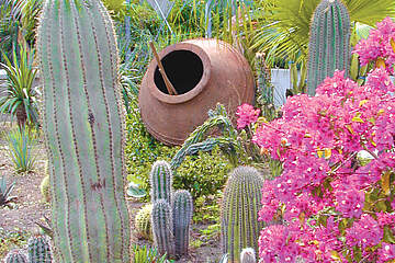 Hotel San Pietro - zahrada