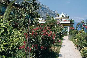 Hotel San Pietro - zahrada