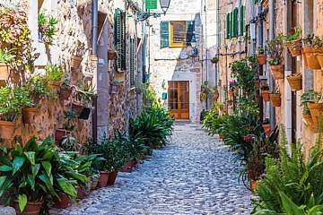 ICON Rosetó by Petit Palace