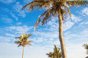 Jebel Ali Beach Hotel