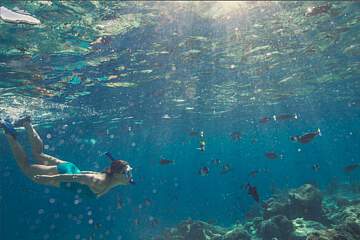 Kurumba Maldives Resort 