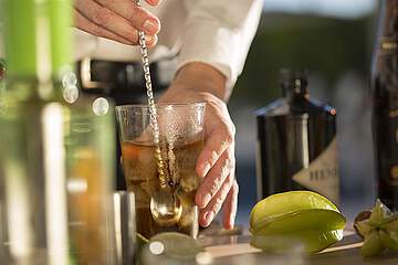 Las Gaviotas Suites Hotel & Spa