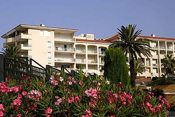 Les Pins Bleus