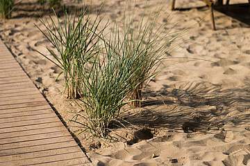 Lino delle Fate Resort - bungalov