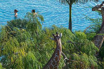 Lopesan Baobab Resort