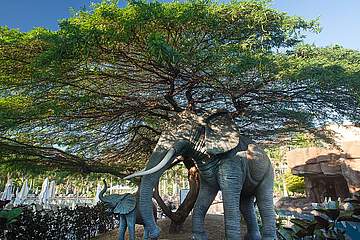 Lopesan Baobab Resort