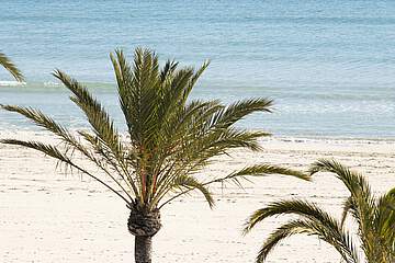 Mar Salada Apartmentos