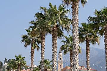 Menton