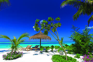 Ozen by Atmosphere at Maadhoo