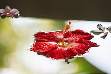 Paradise Cove Boutique Hotel