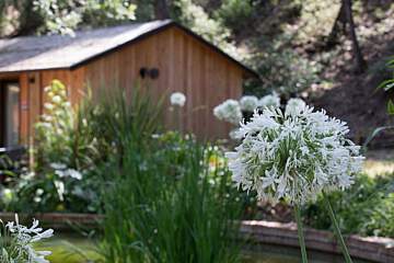 Paradu Tuscany EcoResort