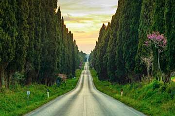 Paradu Tuscany EcoResort