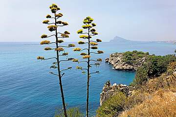 Rezidence Altea Beach
