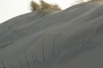 Rezidence Les Dunes du Médoc