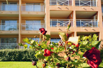 Rezidence Les Sanguinaires