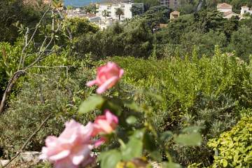 Rezidence Villa Francia