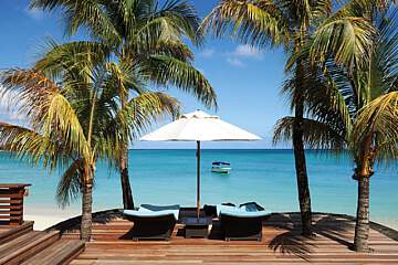Royal Palm Beachcomber