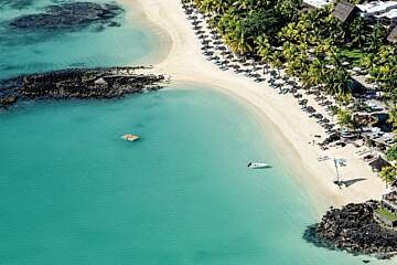 Royal Palm Beachcomber