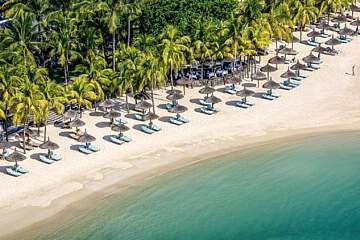 Royal Palm Beachcomber