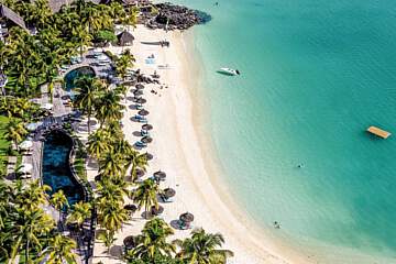 Royal Palm Beachcomber