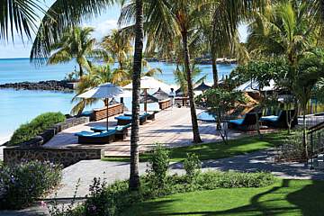 Royal Palm Beachcomber