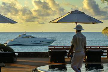 Royal Palm Beachcomber