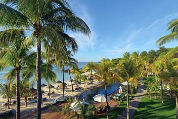 Royal Palm Beachcomber