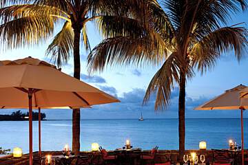 Royal Palm Beachcomber