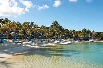 Royal Palm Beachcomber
