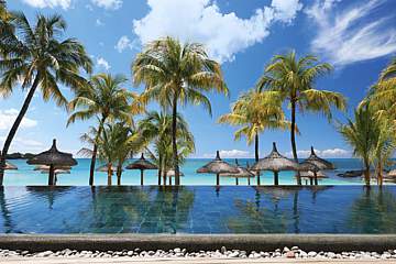 Royal Palm Beachcomber