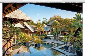 Royal Palm Beachcomber