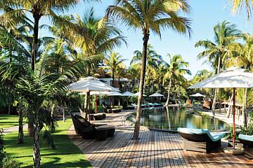 Royal Palm Beachcomber