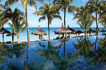 Royal Palm Beachcomber