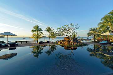 Royal Palm Beachcomber